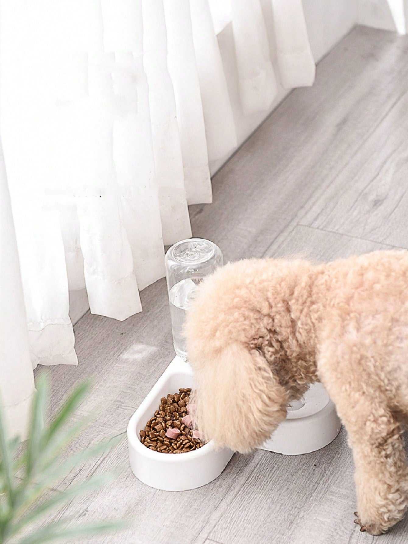 Cat Pet Feeder