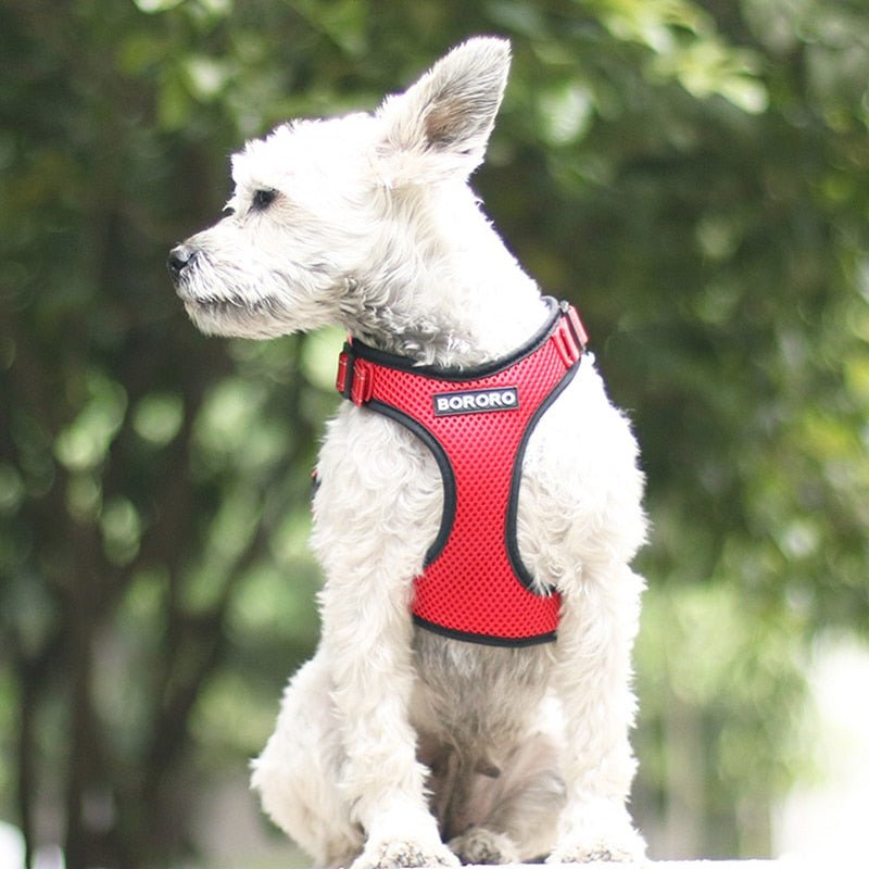 Dog Harness Vest Harnesses For Small Dogs - A Horizon Dawn