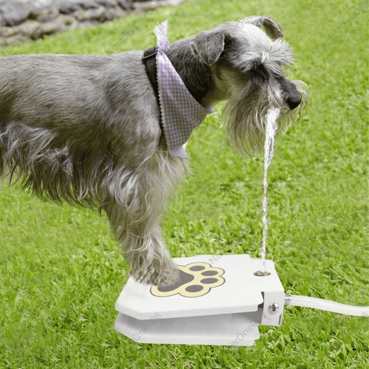 Automatic Pet Water Dispenser | Step - On Pedal | No - Spill Large Capacity - A Horizon Dawn