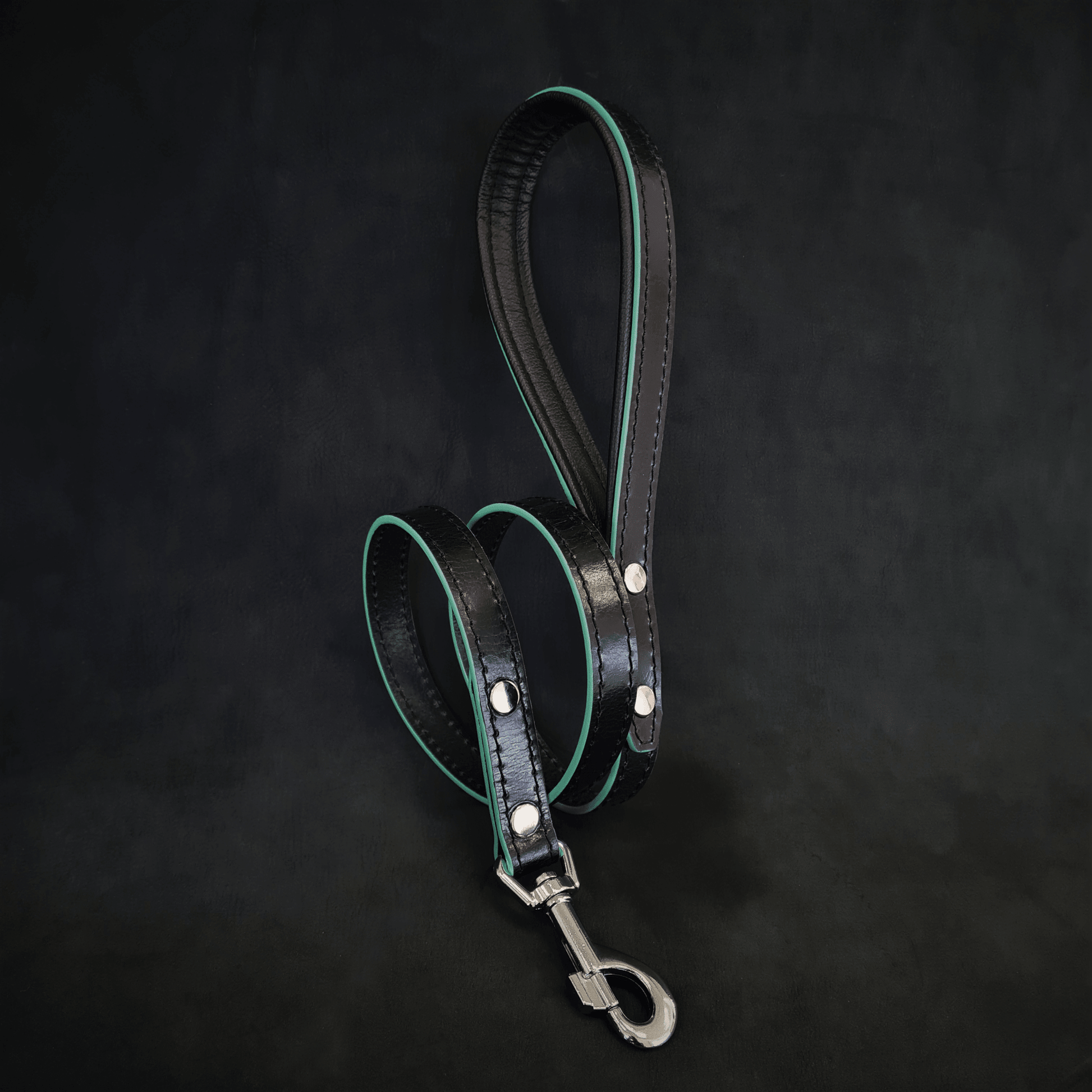 Bestia "Ariel" Dog Leash | Handcrafted European Leather | Premium Quality - A Horizon Dawn