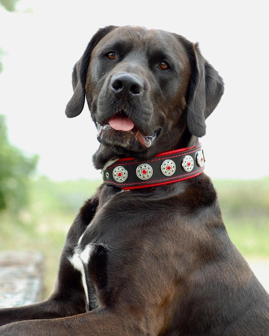 Bestia "Bijou" Dog Collar | Black & Red | Handcrafted European Leather - A Horizon Dawn