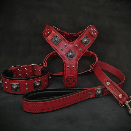 Bestia "EROS" Big Dog Set | Harness, Collar & Lead | Red | European Leather - A Horizon Dawn