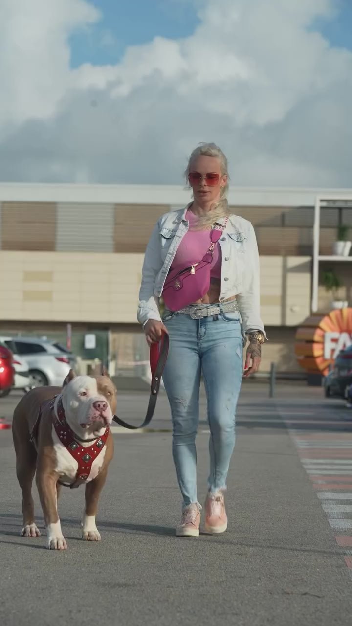 Bestia "EROS" Big Dog Set | Harness, Collar & Lead | Red | European Leather - A Horizon Dawn