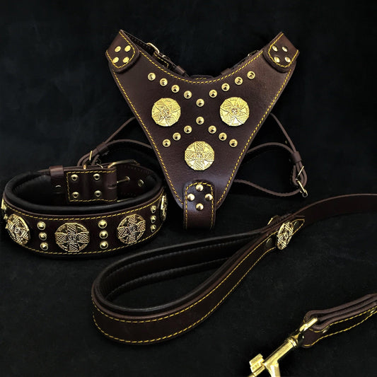 Bestia "Maximus Brown" Big Dog Set | Harness, Collar & Lead | Brass Rivets - A Horizon Dawn