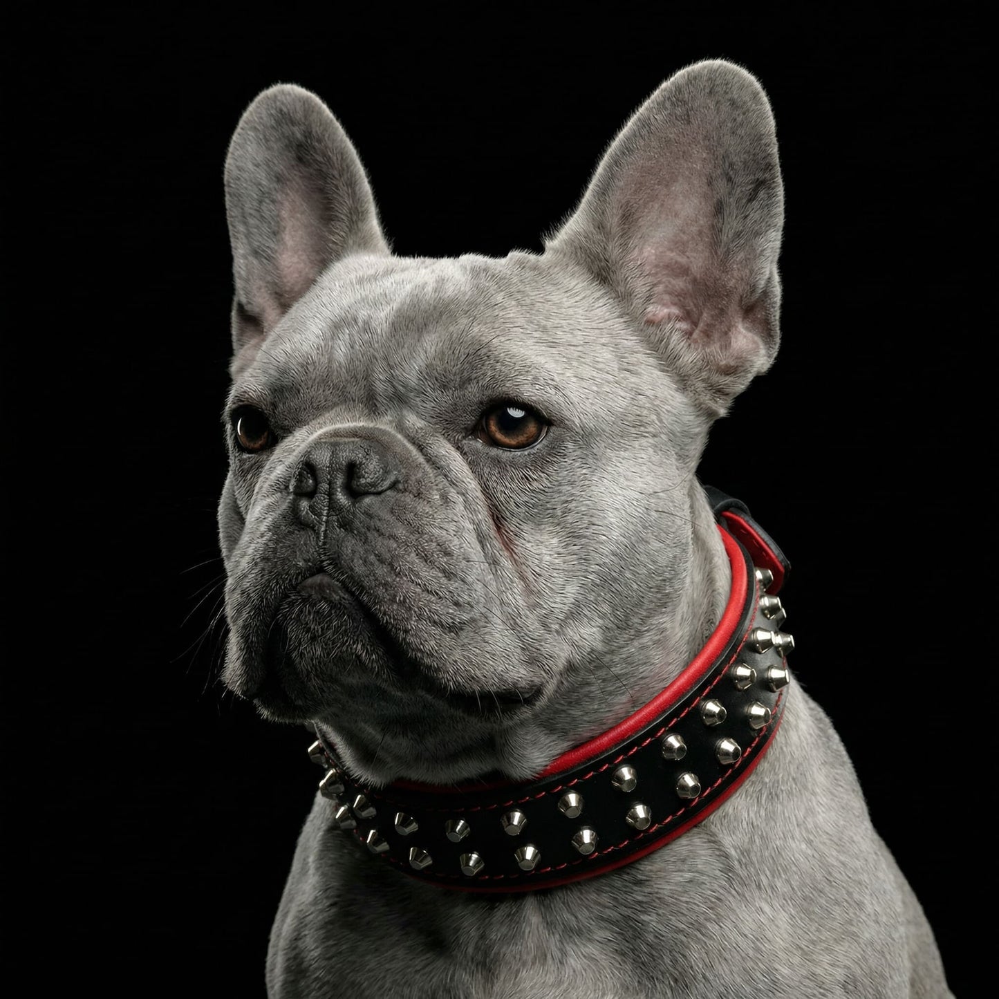 Bestia "Rocky" Dog Collar | Handcrafted European Leather - A Horizon Dawn