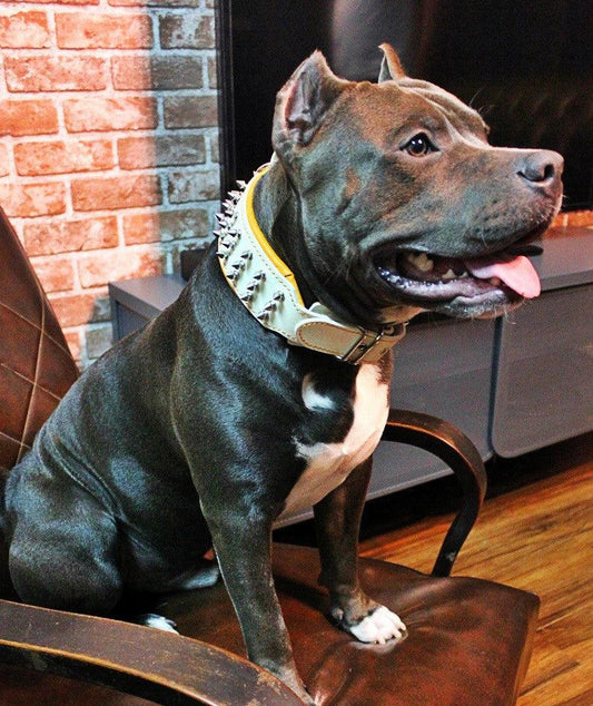 Bestia "Silver Giant" Dog Collar | White | European Leather | Large Breeds - A Horizon Dawn