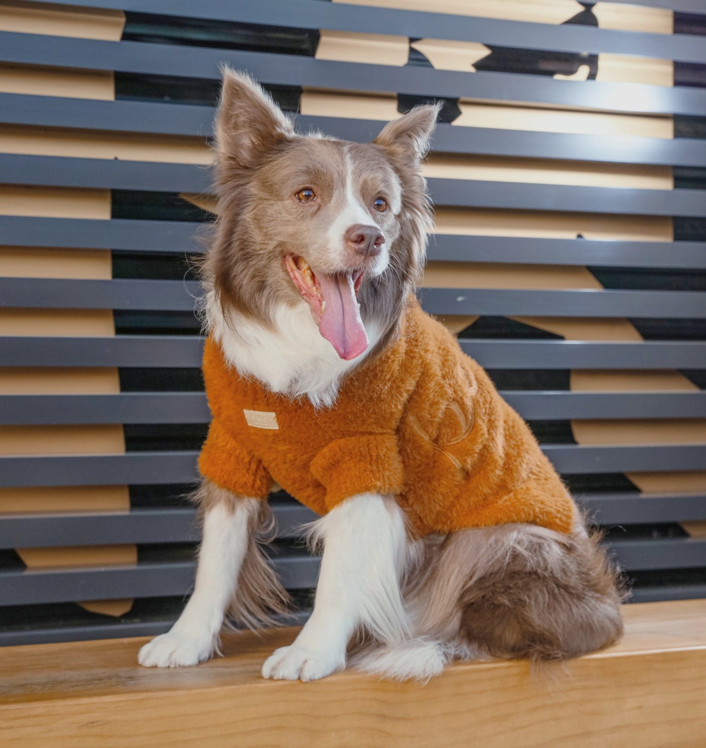 Knit Pet Sweater Vest - Green | Cozy Style for Small Dogs - A Horizon Dawn