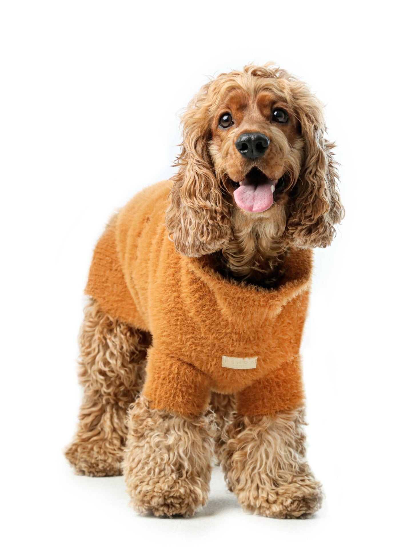 Knit Pet Sweater Vest - Green | Cozy Style for Small Dogs - A Horizon Dawn