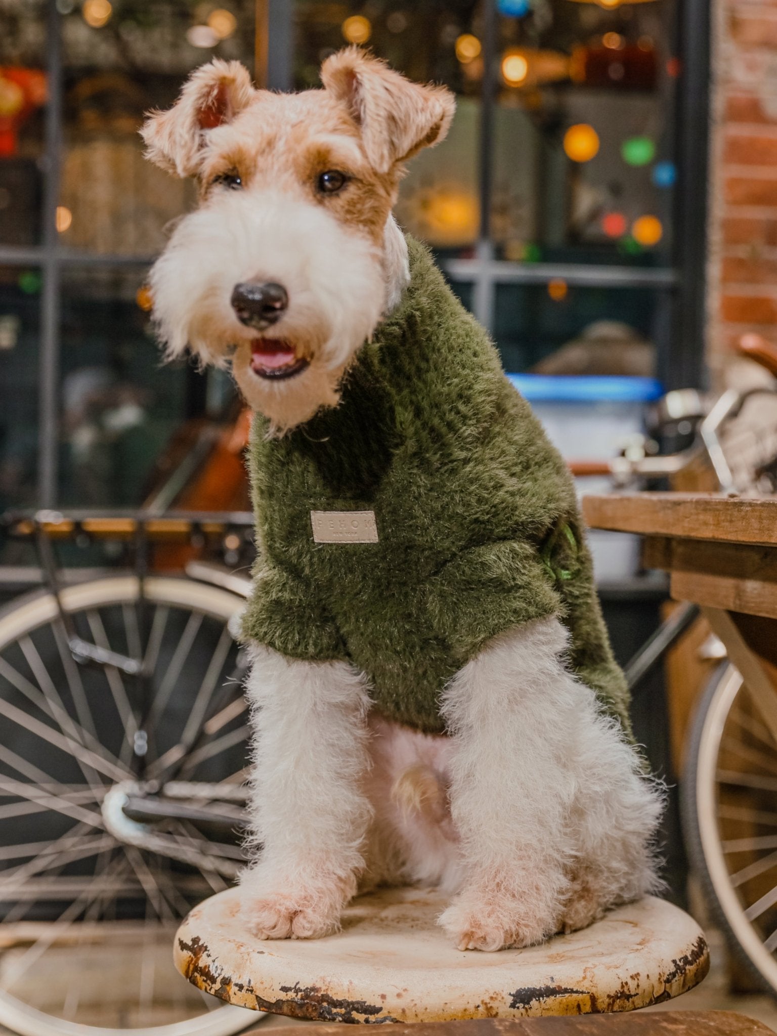 Knit Pet Sweater Vest - Green | Cozy Style for Small Dogs - A Horizon Dawn