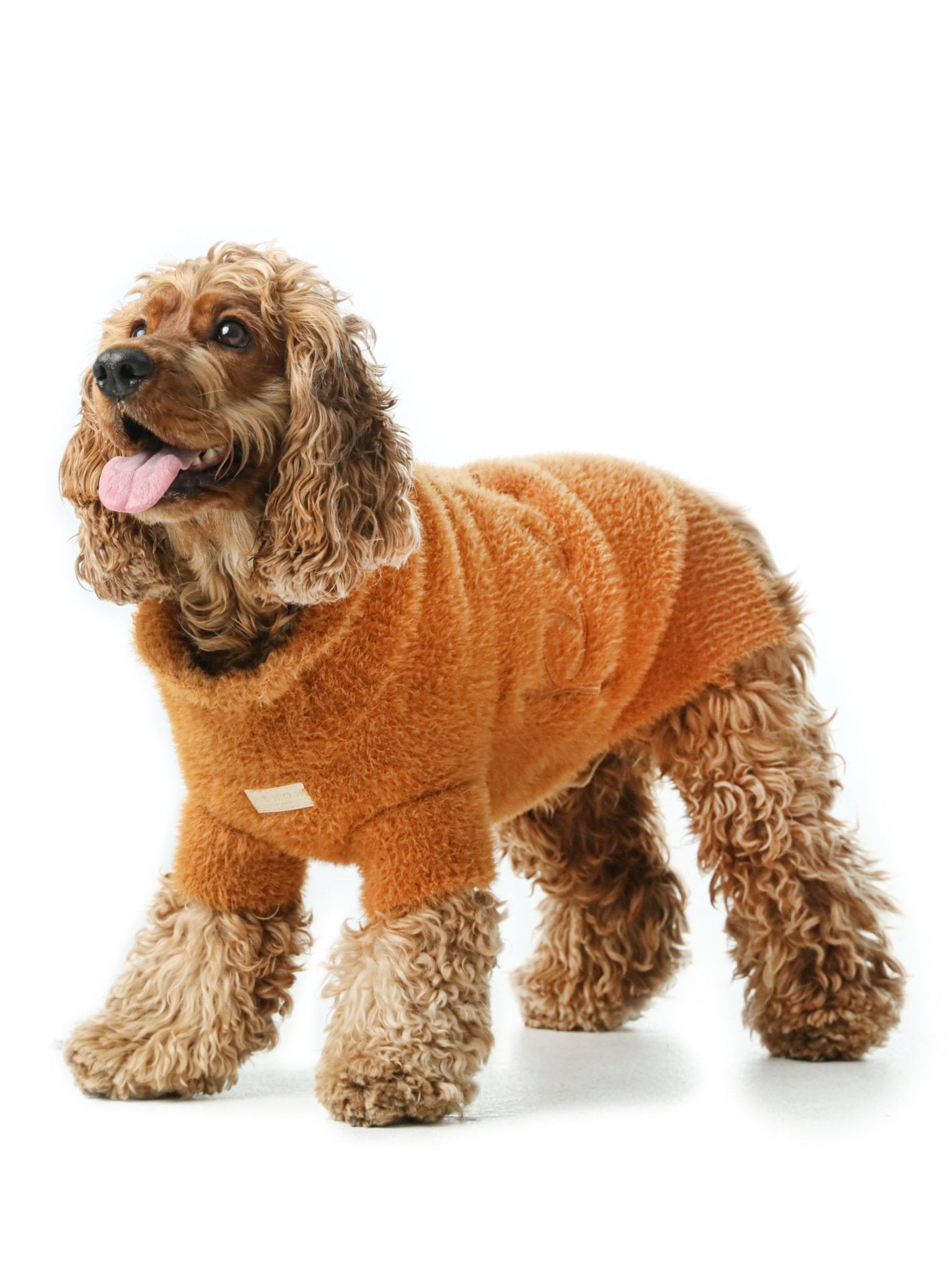 Knit Pet Sweater Vest - Orange| Cozy Style for Small Dogs - A Horizon Dawn