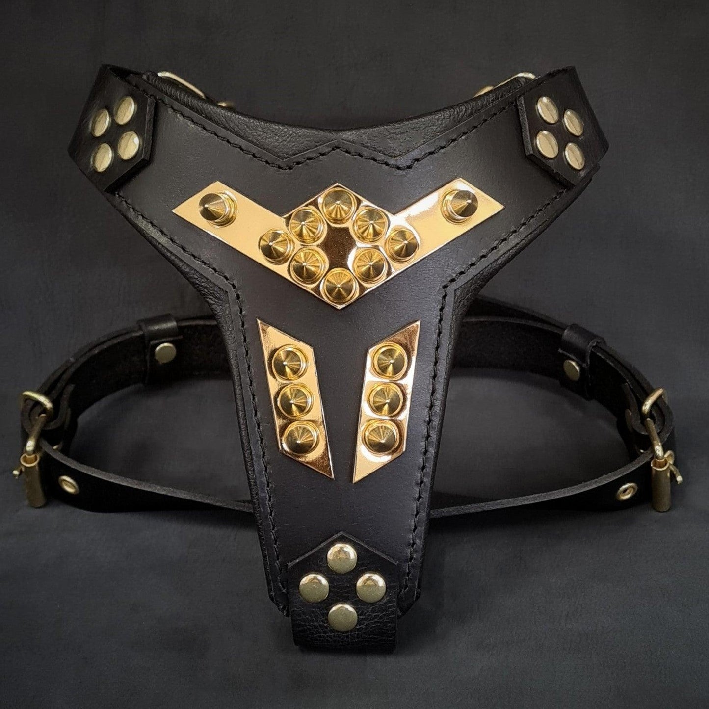 Midas Premium Leather Dog Harness - Handcrafted European Design - A Horizon Dawn