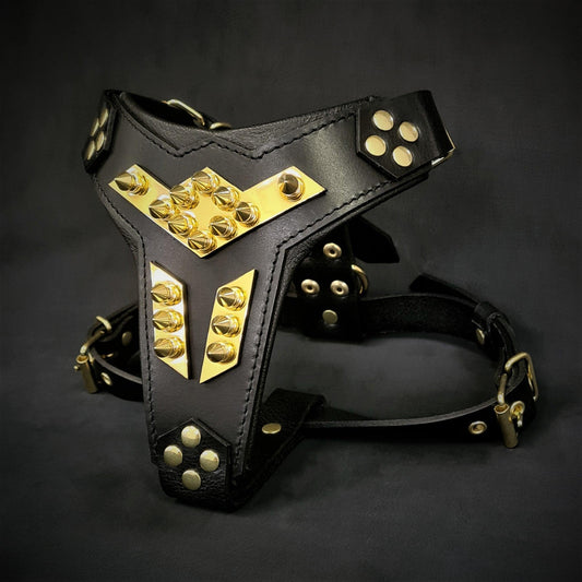 Midas Premium Leather Dog Harness - Handcrafted European Design - A Horizon Dawn