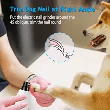 Rechargeable Professional Dog Nail Grinder | Quiet & Stress - Free Grooming - A Horizon Dawn