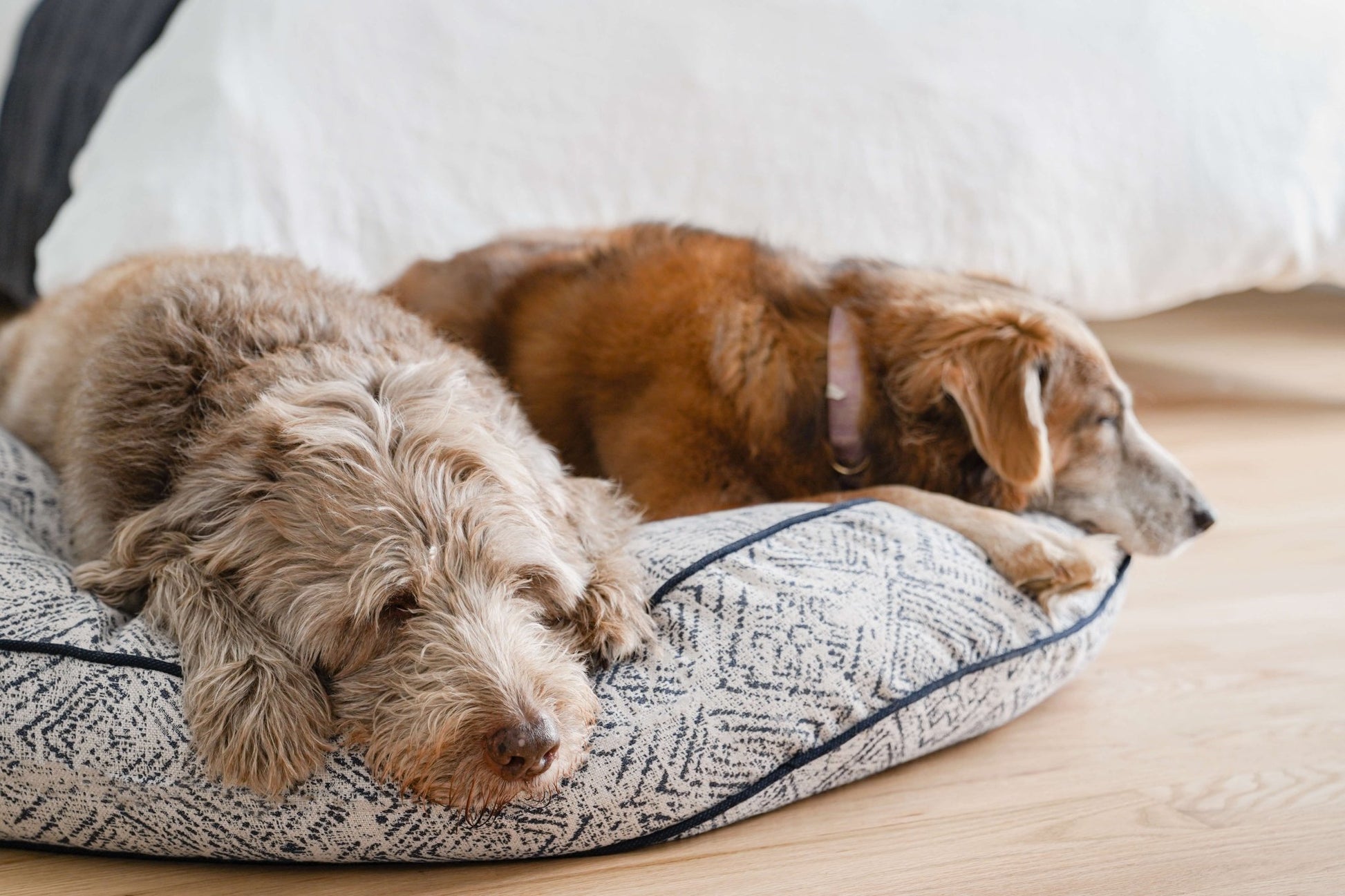 Round Pet Bed in Sapphire Spaniel - USA Made Sunbrella Fabric - A Horizon Dawn