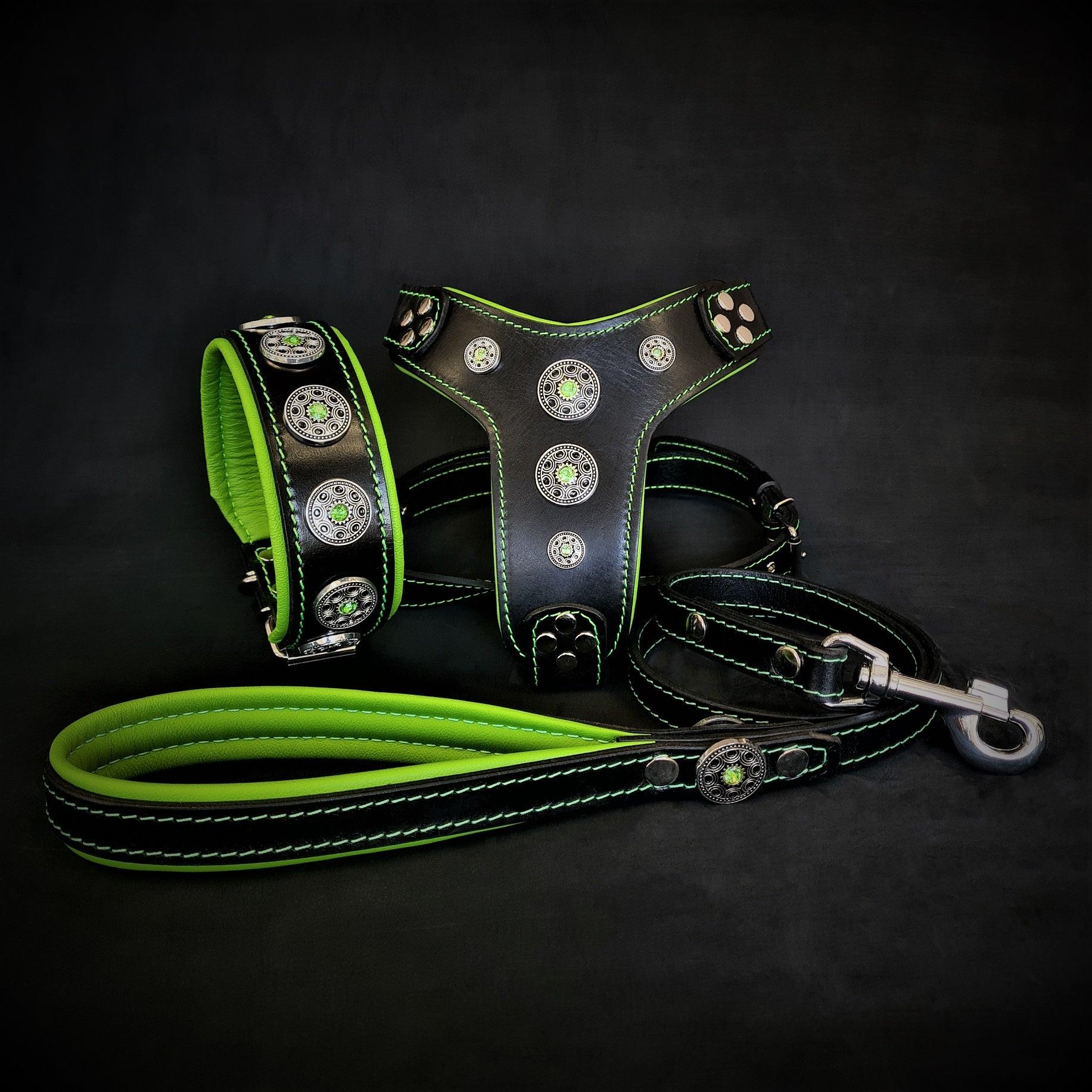 The Bijou Complete Set - Collar, Harness & Leash in Green | European Leather - A Horizon Dawn
