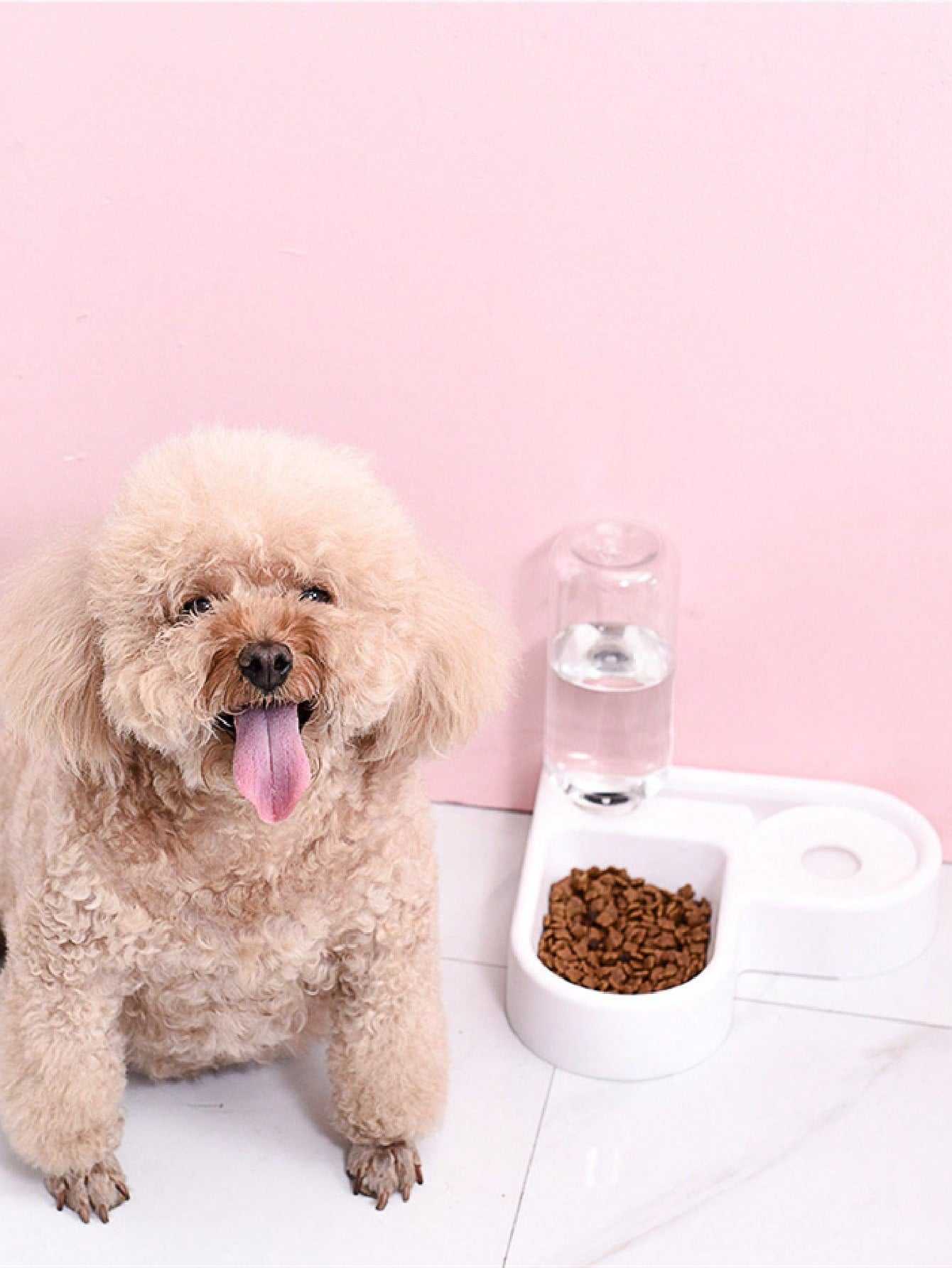 Dog and Cat Pet Feeder With Drinking Bottle - A Horizon Dawn