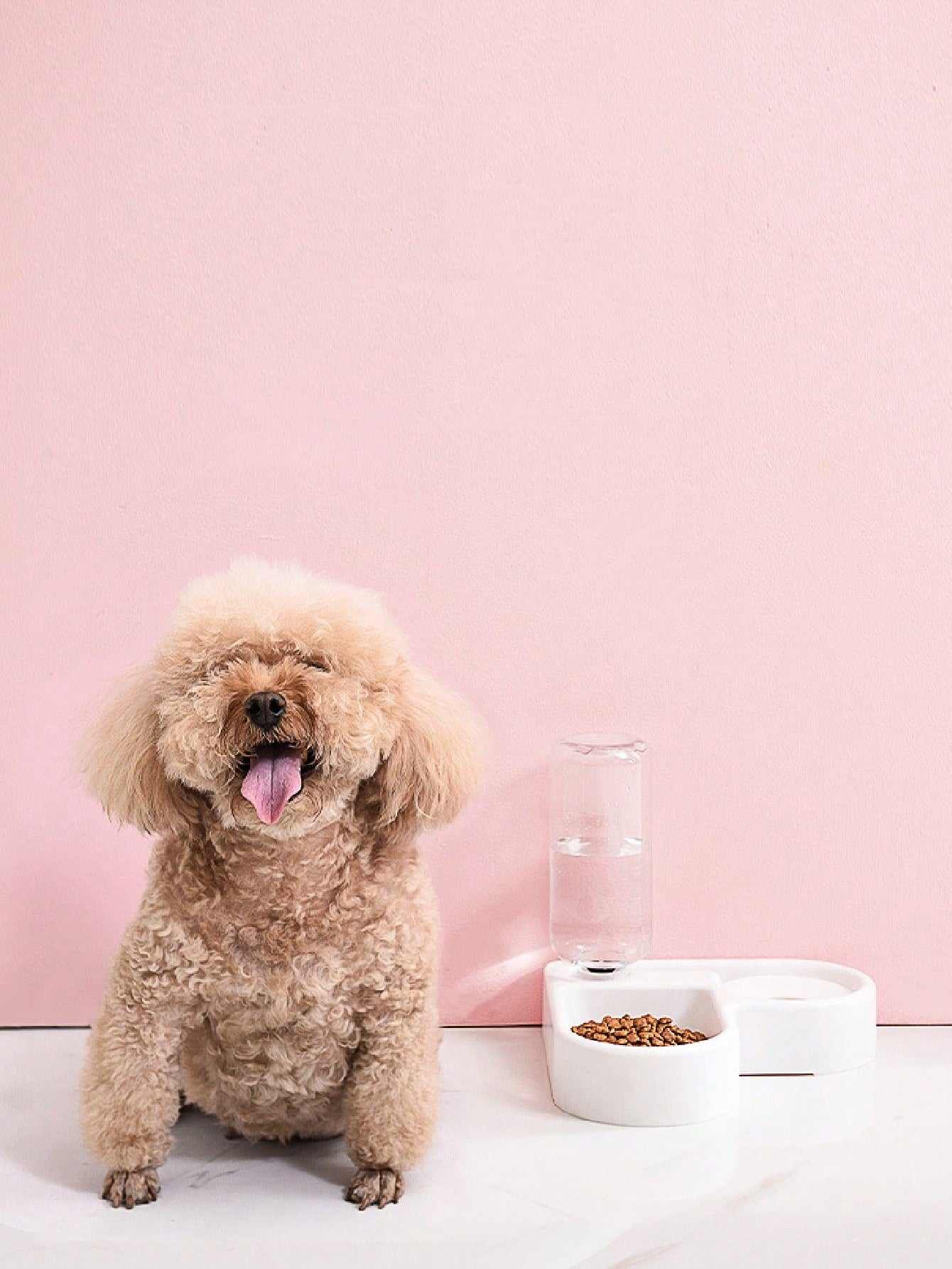 Dog and Cat Pet Feeder With Drinking Bottle - A Horizon Dawn