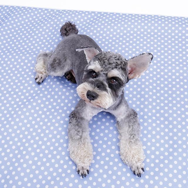 Dog Cooling Bed Blanket - Dog Mat Summer - A Horizon Dawn