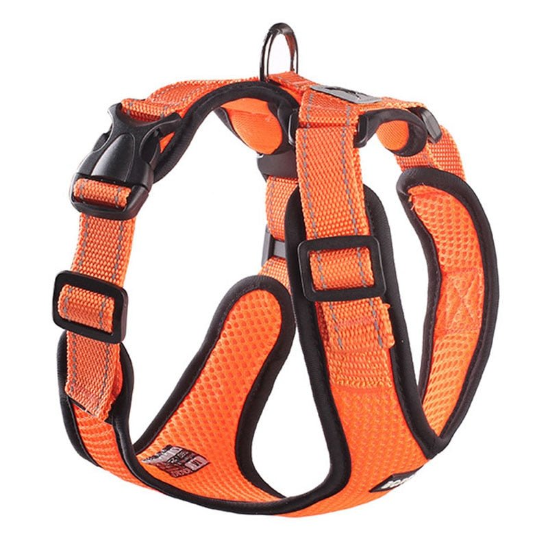 Dog Harness Vest Harnesses For Small Dogs - A Horizon Dawn