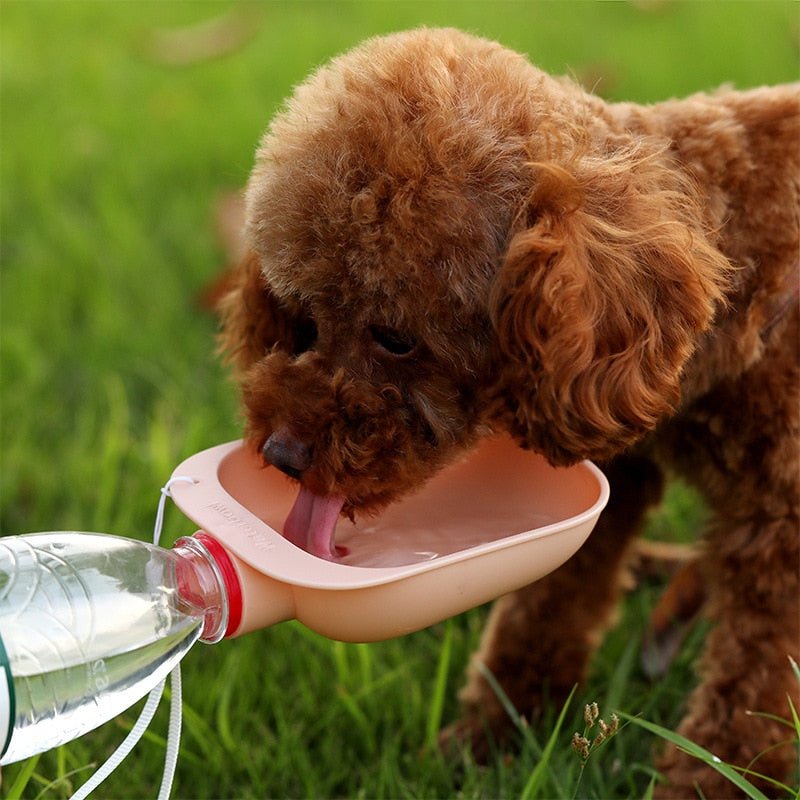 Portable Pet Dog Water Bottle Outdoor Dog Drinking Dish With Mineral Puppy Leakproof Water Dispenser Feeder for Dogs Pet Product - A Horizon Dawn